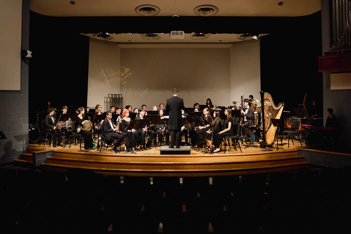 APU orchestra image