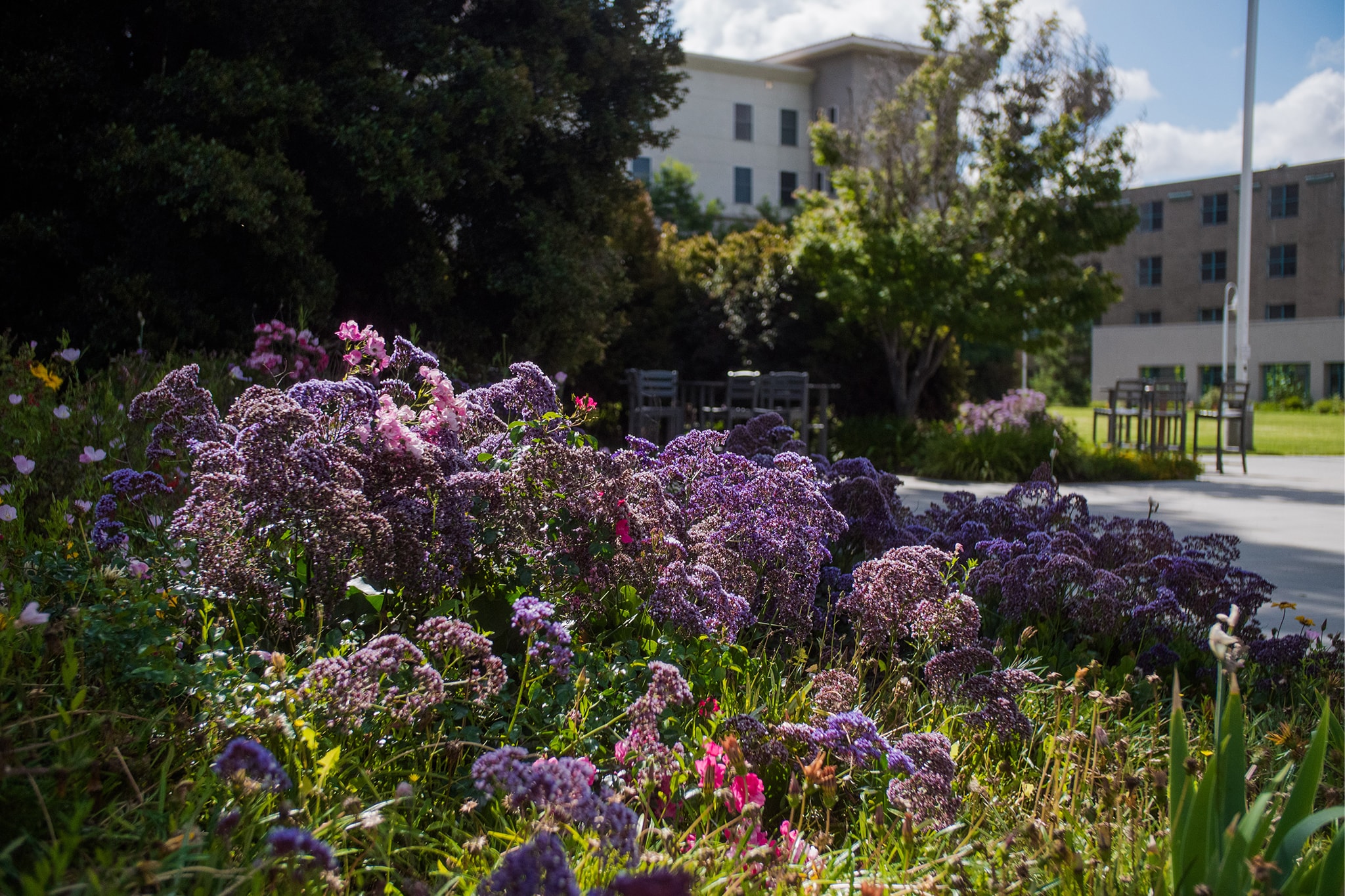 Places to stay near APU